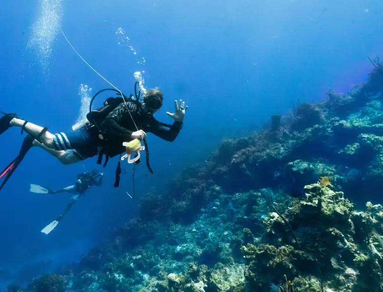 man diving in a reef