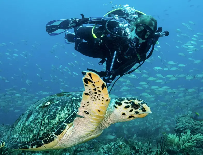 Diver in blue water
